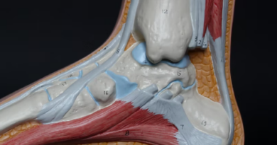 The Core Aspect Of Orthopedics In Medicine